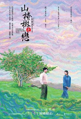 山楂树之恋(超清4K电影)-2010年-豆瓣评分:7.2(夸克资源)山楂树 / Under the Hawthorn Tree(4KHDR杜比视界电影)