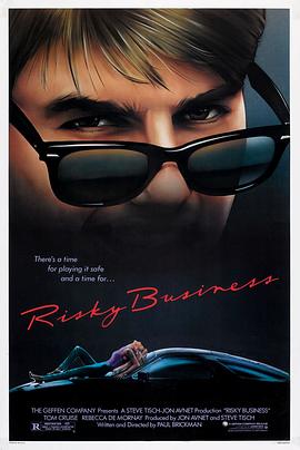 乖仔也疯狂(4KHDR杜比视界电影下载)Risky Business