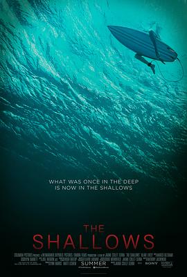 鲨滩(4KHDR电影下载)The Shallows