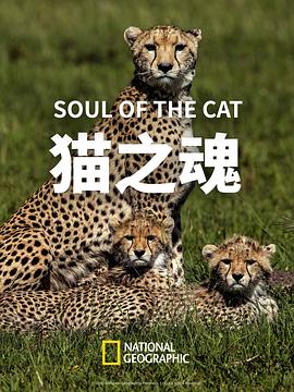 猫之魂(4K电影下载)Soul of the Cat