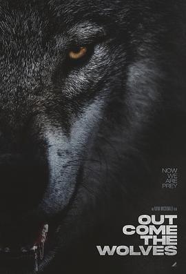 狼群出动(4K电影下载)Out Come the Wolves