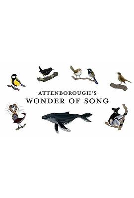 大卫·爱登堡:歌声奇迹(4K电影下载)Attenborough's Wonder of Song