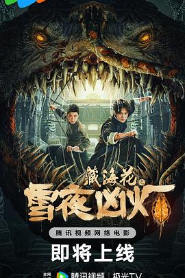 藏海花之雪夜凶灯(4K电影下载)-