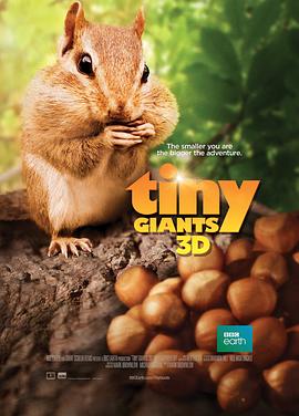 小巨人(4K电影下载)3D Tiny Giants 3D