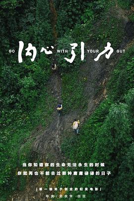 内心引力(4K电影下载)
