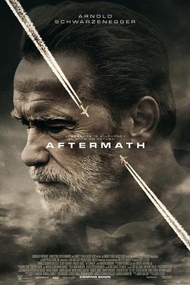 空难余波(4K电影下载)-Aftermath