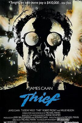 大盗独行(4K杜比视界电影下载)Thief