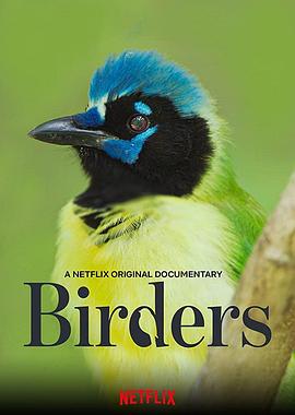 观鸟者(4K电影下载)Birders