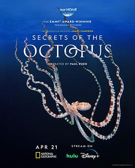 章鱼的秘密(4KHDR杜比视界电影下载)Secrets of the Octopus
