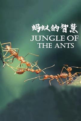 蚂蚁的智慧(4K电影下载)-La forêt des fourmis