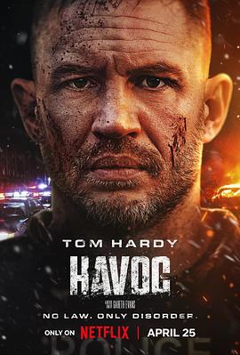 毒劫(4K电影下载)Havoc