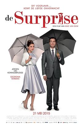 意外制造公司(4K电影下载)De Surprise