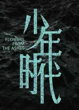 少年时代(4KHDR电影下载)