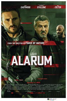 警报战(4K电影下载)Alarum