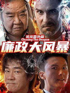 追龙番外篇之廉政大风暴(4K电影下载)