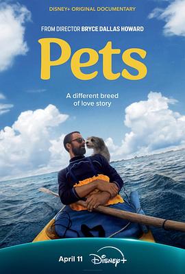 宠(4KHDR电影下载)Pets