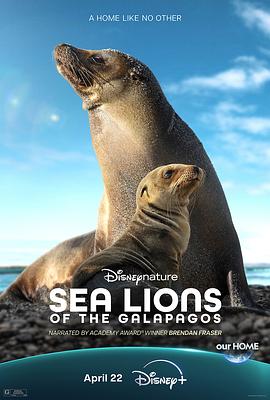 海狮利奥环岛记Sea Lions Of